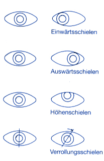 sehschule